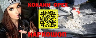 дмт Кингисепп