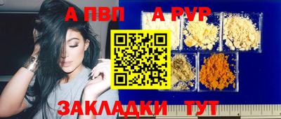 дмт Кингисепп