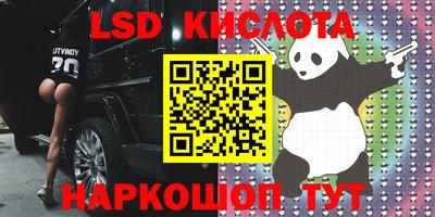 дмт Кингисепп