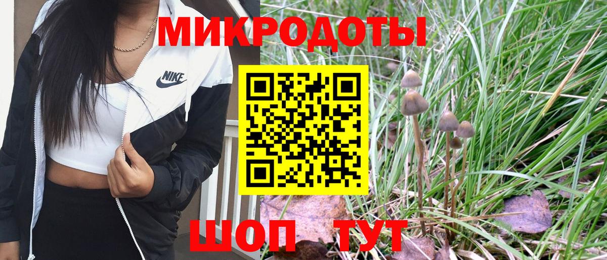 Галлюциногенные грибы Psilocybine cubensis  хочу   Конаково  Вход с VPN 